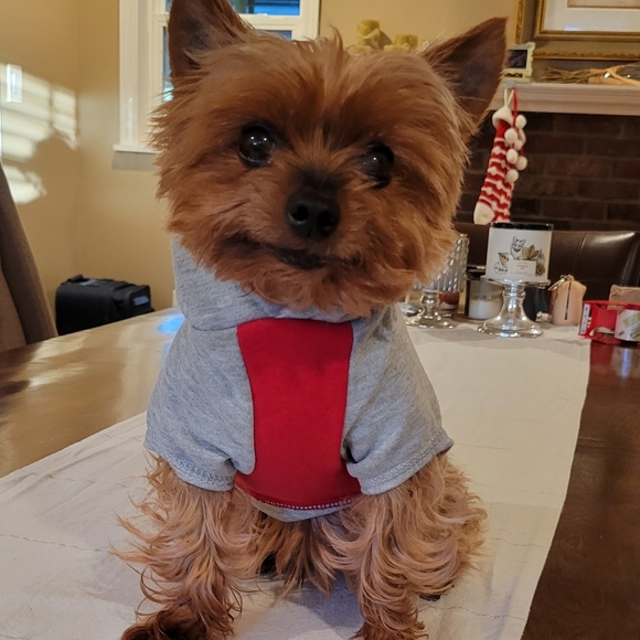 Pup Crew Other - Host Pick 🤩🐕🥰 The Snuggle Is Real Doggo Hoodie XS